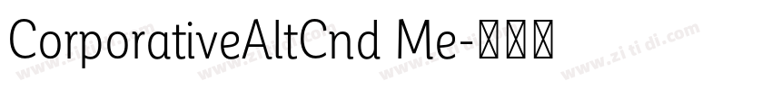 CorporativeAltCnd Me字体转换 CorporativeAltCnd Me字体转换